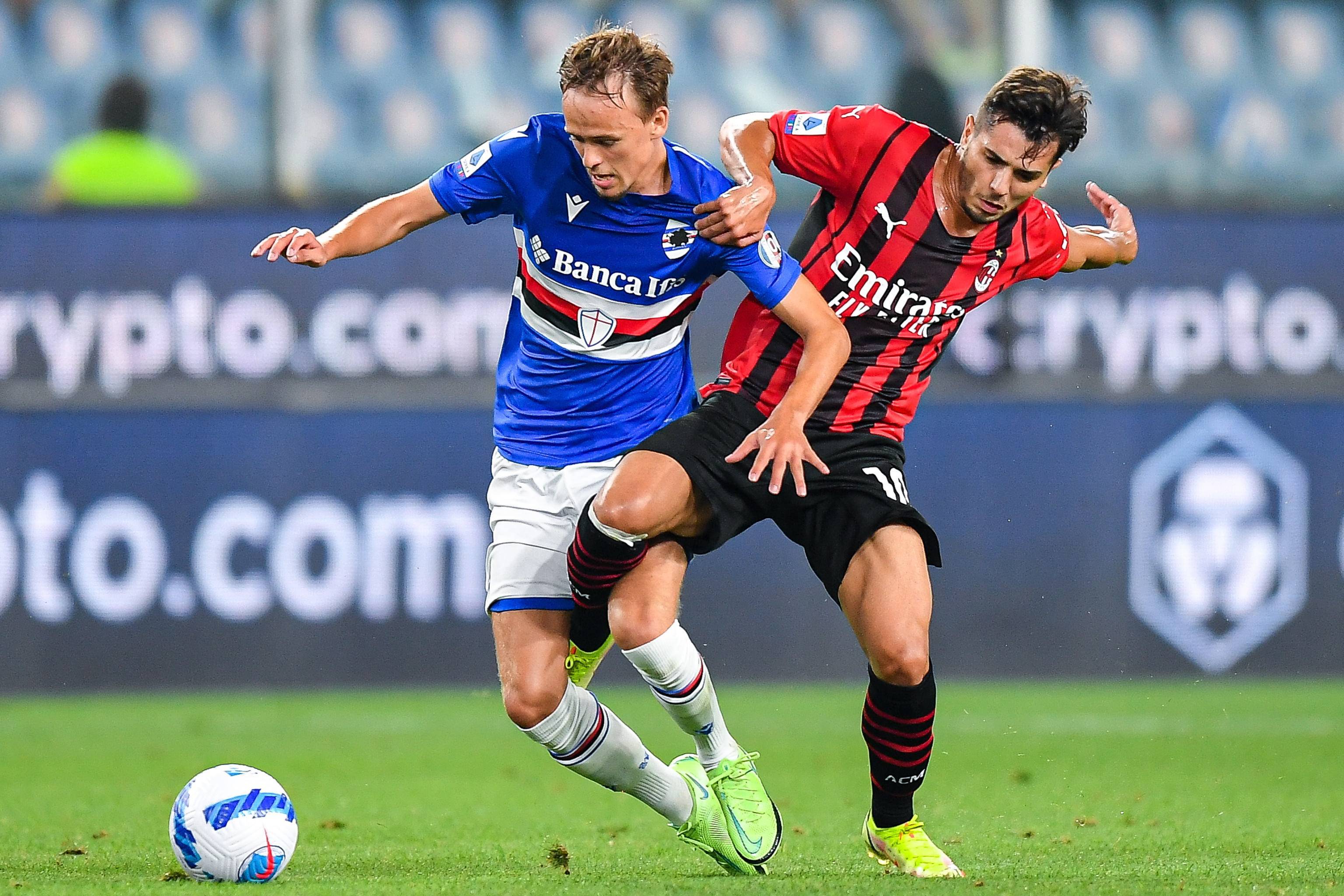 林作为一支 林作为一支