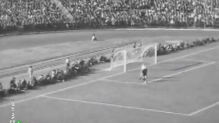 愿羽坛的未 愿羽坛的未