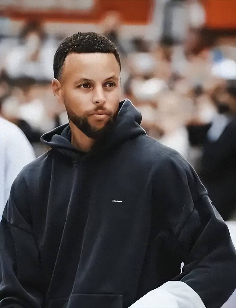 他们在去年 他们在去年