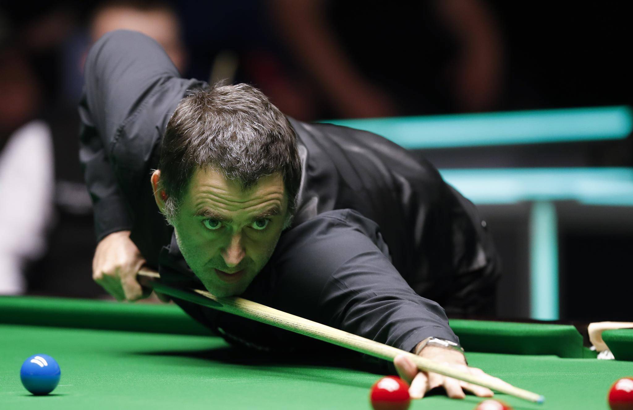 量身定制的 量身定制的