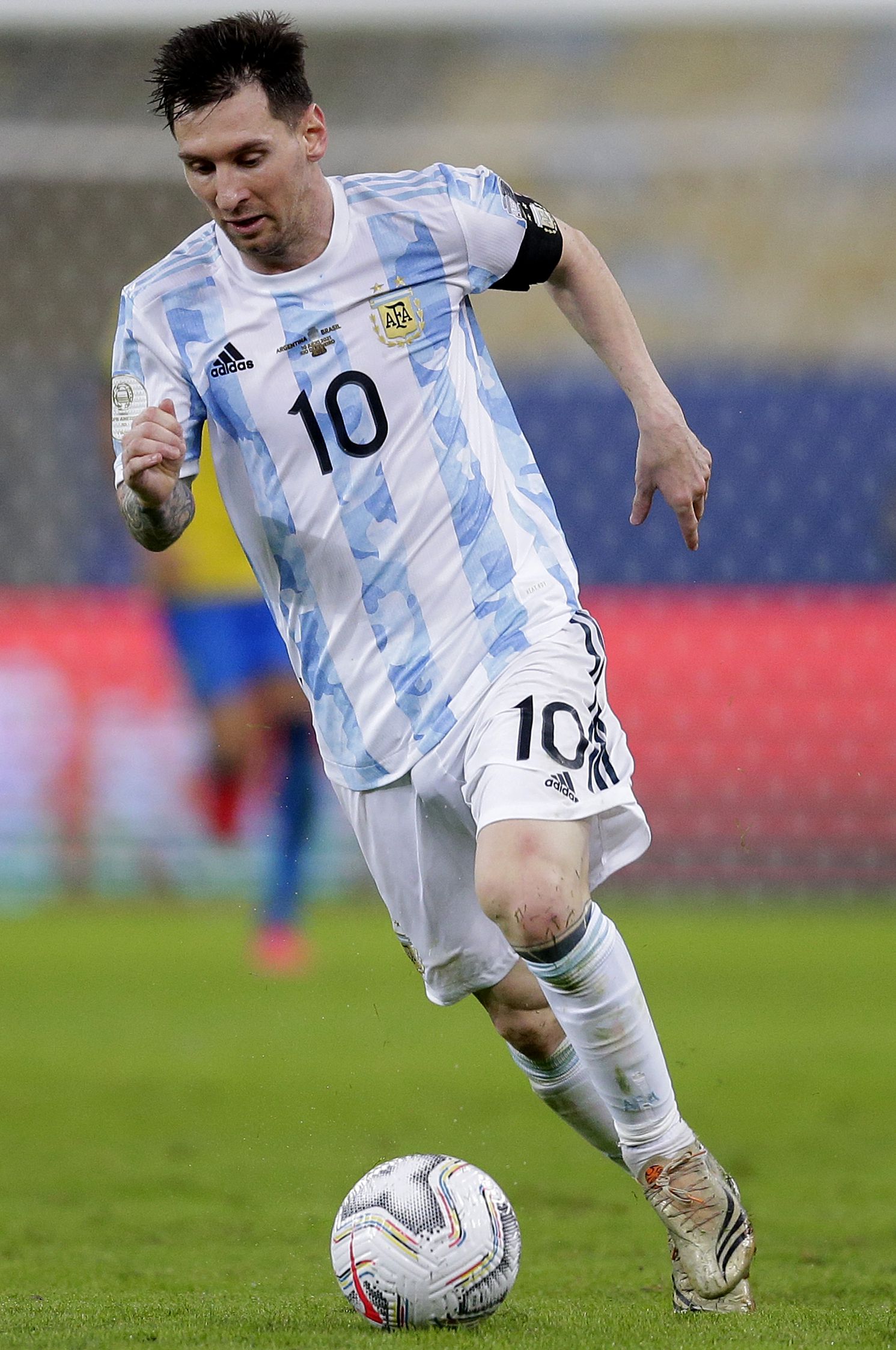 后备人才供 后备人才供